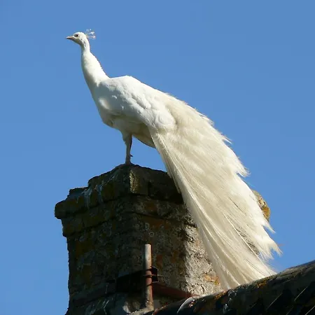 Alojamento de Acomodação e Pequeno-almoço D'hôtes 