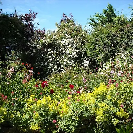 Bed & Breakfast D'hotes 