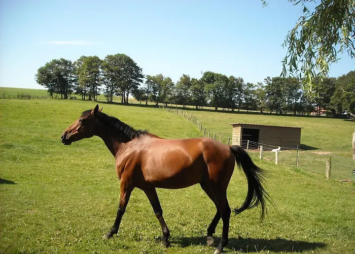 Couette-café D'hôtes 